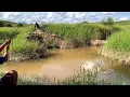 Download Lagu AWAS !!! KALAU SAMPAI KETAHUAN BISA DI DATANGAIN ORANG SATU KAMPUNG YANG SUKA MACING PASTI EMOSI
