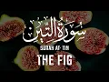 Download Lagu Surah 95 At-Tin | English Translation \u0026 Recitation by Mishary Rashid Alafasy | سورة التين