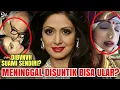 Download Lagu TRAGEDI RATU BOLLYWOOD SRIDEVI❗DEMI ASURANSI $35JT DISUNTIK BISA ULAR? D1BVNVH SUAMI? KONSPIRASI