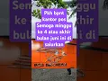 Download Lagu pkh bpnt kantor pos #pkhbpnt #bansos #kantorpos #pkh #bpnt #kemensos #bantuan #pkhcair2025 #bpntcair