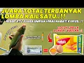 Download Lagu JUARA TOTAL IKAN TERBANYAK PAKAI KAIL SATU !! RACIKAN TERJITU UMPAN NABATI KUKUS TERVIRAL ❗❗