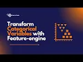 Transform Categorical Variables with Feature-engine