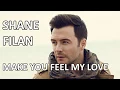 Download Lagu Shane Filan - Make You Feel My Love (Lyrics) HD