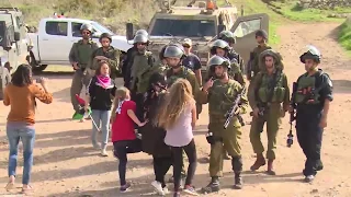 من هي عهد التميمي 