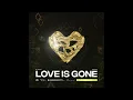 RICHIE ROZEX - Love Is Gone