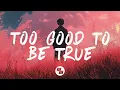 William Black \u0026 Afinity - Too Good To Be True (Lyrics) ft. Trella
