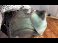 RAINBOW OBSIDIAN SPALLS - Glowing Velvet Colors!  A Close Look At This Unique Gemstone!, Lapidary
