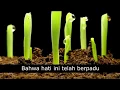 Download Lagu Izzatul Islam - Doa Rabithah [Video Lirik]