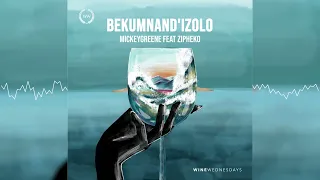 mickeygreene bekumnandizolo ft zipheko audio visualizer 
