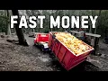 Make FAST Firewood PROFITS