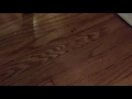 VRBO St Louis Vacation Rental after floor cleaning and cockroach treatment