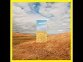 Standing In The Middle Of The Field (Edit) - Cut Copy