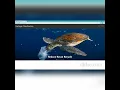 IBM Project - Intelligent garbage classification using deep learning