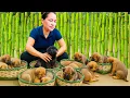 Download Lagu Process to Making Winter Bed for Little Puppies - Harvesting Vegetable and Cooking Countryside Meal