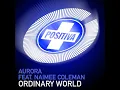 Ordinary World (Above & Beyond Remix)