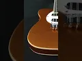 Download Lagu Mandocaster LTD