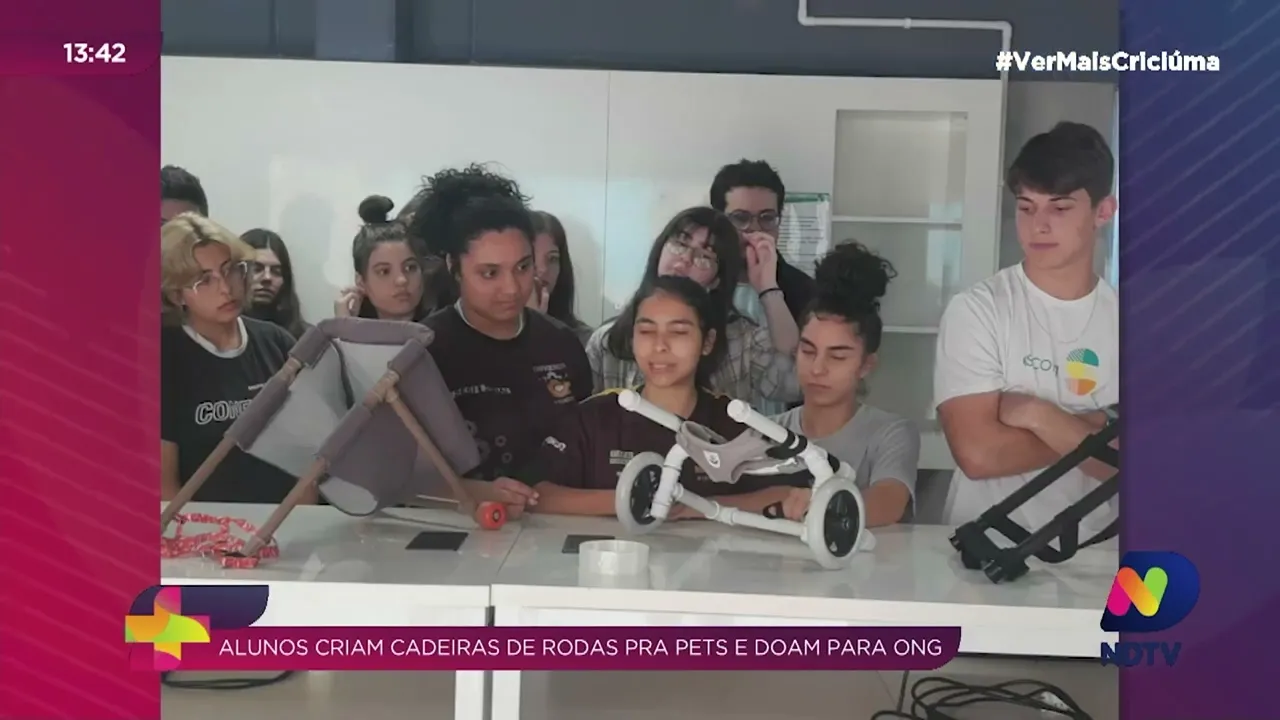 Alunos criam cadeiras de rodas para pets e doam para ONG
