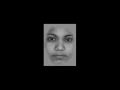 Visual Working Memory