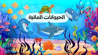الحيوانات البحري ة للأطفال   استكشاف عالم البحار                           دندنها