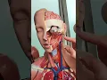 Download Lagu Halsslagaders #anatomie