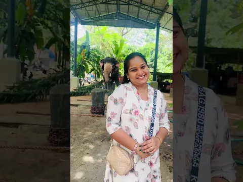 യാത്ര 🌿✨ #sijurevavlog #trending #videoshorts