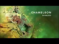 Download Lagu Chameleon drumless backing track (no drums)