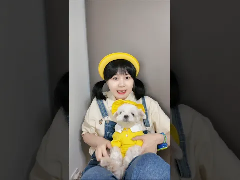 우리 강아지 훈련시켰어🐶😍What do you think of my dog? #funny #TeamYELLOWHAT