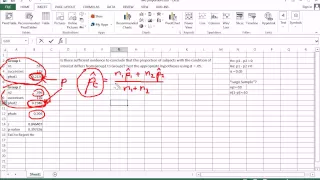 Two Sample Proportion Hypothesis Test