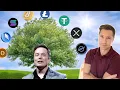 Meaning Behind Kim Clement s Oak Tree Prophecy