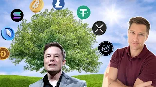 Meaning Behind Kim Clement s Oak Tree Prophecy