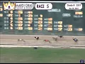 Ab Hollywoodgold Tri-State 23 R5
