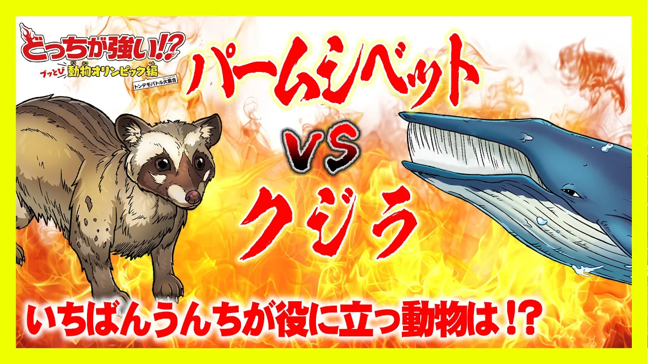 【どっちが強い】いちばんうんちが役に立つ動物は?パームシベット?クジラ?うんちの恩惠はすごい!【漫畫】