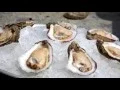 Prestige Oysters Inc - Best Oysters