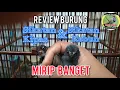 Download Lagu Beda Sikatan Kipas dan Sikatan Bukit | Review Burung | @bangkicau1131