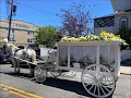 White Funeral Carriage New Hope Memorial Baptist Church to Rose Hill Cemetery NJ June 17 2021