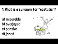 Synonyms Challenge Class Activity