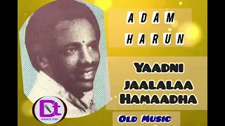 Best Oromo Music Adam Harun Yaada Jaalalaa 