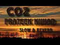 Lagu Co2 - Prateek Kuhad (Slow \u0026 reverb) (Full Lyrics)