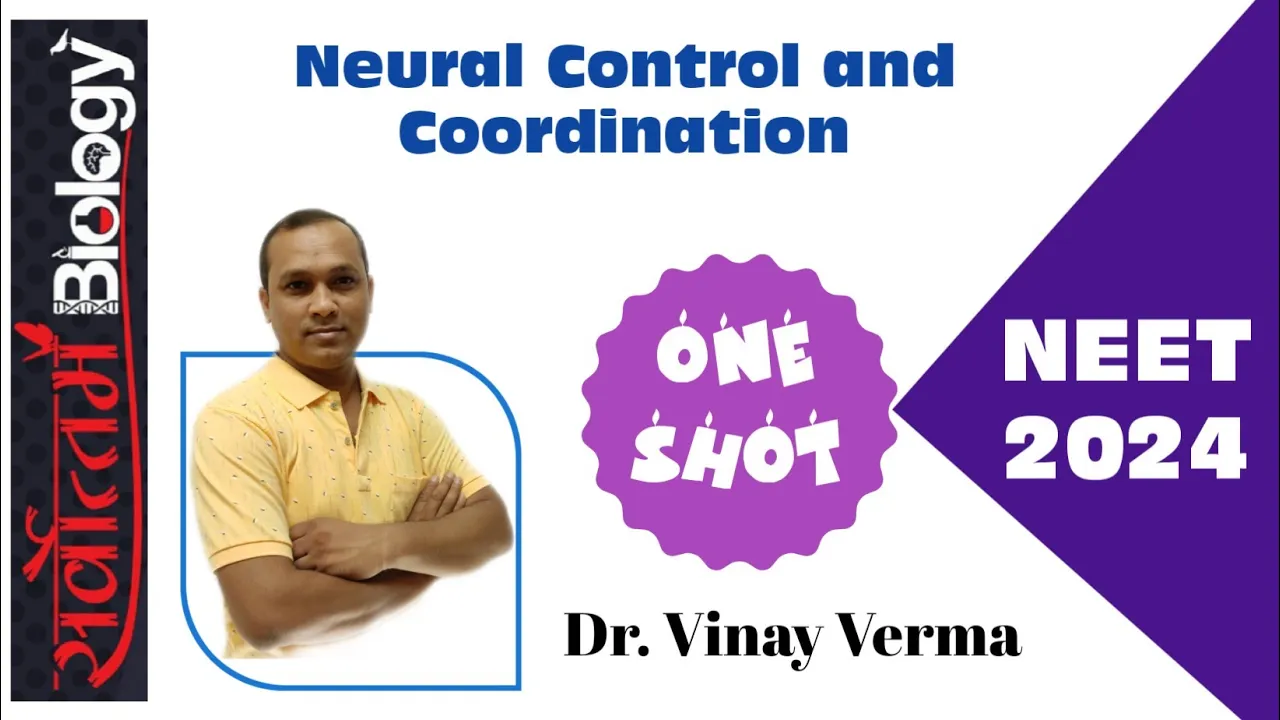 One Shot/ Neural control and Coordination