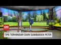 Download Lagu Tips Terhindar Dari Sambaran Petir