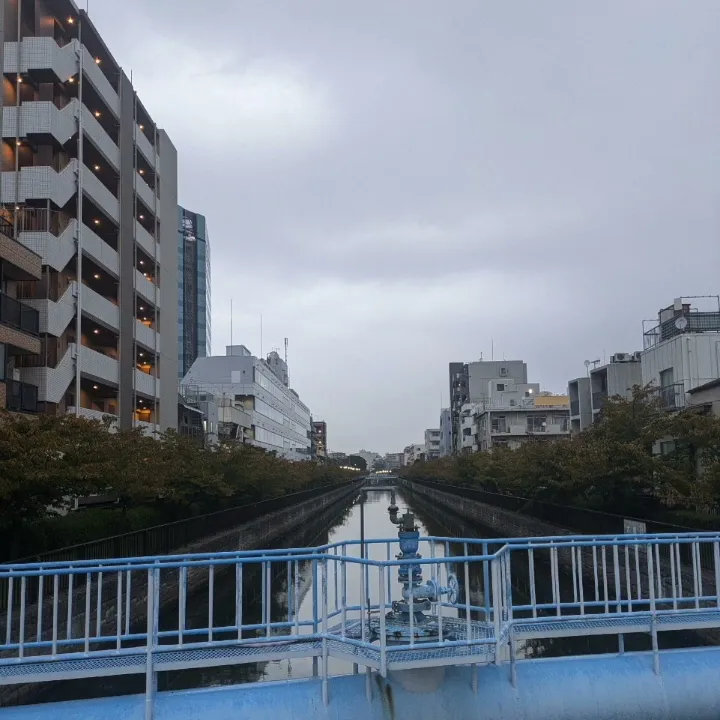 「flat」跳亜