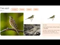Download Lagu Tree Pipit visits Loch Arkaig Osprey Nest One - where are the big birds? Please return! 30 Apr 2023