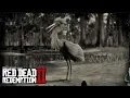 RED DEAD REDEMPTION 2 - Snowy Egret Reddish Egret Location Egret Plume Location