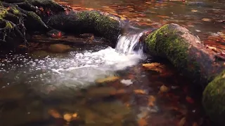 Waterfall Sound صوت خرير الماء بدون موسيقى 4K 