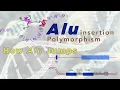 Download Lagu Alu Insertion Polymorphism | SINEs | LINEs | How Alu element Transposes | How Alu Jumps | L1 element