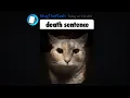 Discord s Most INSANE Gifs