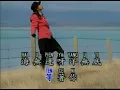總有一天 等到你 (Zǒng yǒu yītiān děngdào nǐ / One day, I'll wait for you)