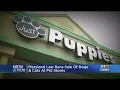Maryland Law Bans Sale Of Dogs And Cats At Pet Stores