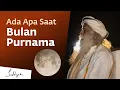 Download Lagu Apa yang Terjadi Pada Anda di Hari Bulan Purnama / New What Happens to You on Full Moon Day