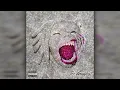 Tee Grizzley - Robbery Part 3 (Instrumental)